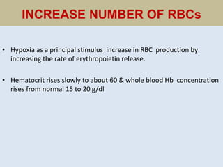 INCREASE NUMBER OF RBCs
• Hypoxia as a principal stimulus increase in RBC production by
increasing the rate of erythropoietin release.
• Hematocrit rises slowly to about 60 & whole blood Hb concentration
rises from normal 15 to 20 g/dl
 