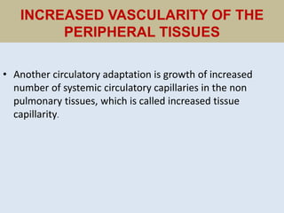 INCREASED VASCULARITY OF THE
PERIPHERAL TISSUES
• Another circulatory adaptation is growth of increased
number of systemic circulatory capillaries in the non
pulmonary tissues, which is called increased tissue
capillarity.
 