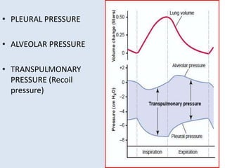 • PLEURAL PRESSURE
• ALVEOLAR PRESSURE
• TRANSPULMONARY
PRESSURE (Recoil
pressure)
 