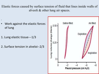 Elastic forces caused by surface tension of fluid that lines inside walls of
alveoli & other lung air spaces.
.
• Work against the elastic forces
of lung
1. Lung elastic tissue---1/3
2. Surface tension in alveloi--2/3
 