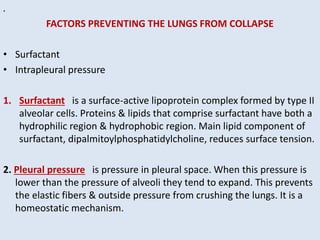 .
FACTORS PREVENTING THE LUNGS FROM COLLAPSE
• Surfactant
• Intrapleural pressure
1. Surfactant is a surface-active lipoprotein complex formed by type II
alveolar cells. Proteins & lipids that comprise surfactant have both a
hydrophilic region & hydrophobic region. Main lipid component of
surfactant, dipalmitoylphosphatidylcholine, reduces surface tension.
2. Pleural pressure is pressure in pleural space. When this pressure is
lower than the pressure of alveoli they tend to expand. This prevents
the elastic fibers & outside pressure from crushing the lungs. It is a
homeostatic mechanism.
 