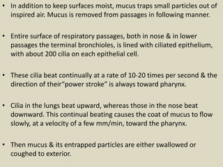 • In addition to keep surfaces moist, mucus traps small particles out of
inspired air. Mucus is removed from passages in following manner.
• Entire surface of respiratory passages, both in nose & in lower
passages the terminal bronchioles, is lined with ciliated epithelium,
with about 200 cilia on each epithelial cell.
• These cilia beat continually at a rate of 10-20 times per second & the
direction of their“power stroke” is always toward pharynx.
• Cilia in the lungs beat upward, whereas those in the nose beat
downward. This continual beating causes the coat of mucus to ﬂow
slowly, at a velocity of a few mm/min, toward the pharynx.
• Then mucus & its entrapped particles are either swallowed or
coughed to exterior.
 