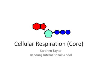 Respiration (Core)