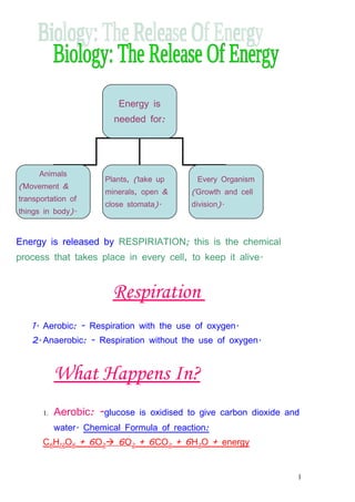Energy is
                         needed for:




      Animals
                       Plants, (take up      Every Organism
(Movement &
                       minerals, open &    (Growth and cell
transportation of
                       close stomata).     division).
things in body).



Energy is released by RESPIRIATION; this is the chemical
process that takes place in every cell, to keep it alive.


                         Respiration
    1. Aerobic: - Respiration with the use of oxygen.
    2. Anaerobic: - Respiration without the use of oxygen.



            What Happens In?
       1.   Aerobic: -glucose is oxidised to give carbon dioxide and
            water. Chemical Formula of reaction:
       C6H12O6 + 6O2 6O2 + 6CO2 + 6H2O + energy


                                                                   1
 