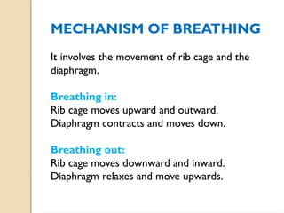 Ncert Class 10th RESPIRATION IN ANIMALS.pptx