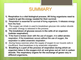 SUMMARY
1) Respiration is a vital biological process. All living organisms need to
respire to get the energy needed for their survival.
2) Respiration is essential for survival of living organisms. It releases energy
from the food.
3) The oxygen we inhale is used to breakdown glucose into carbon dioxide
and water. Energy is released in the process.
4) The breakdown of glucose occurs in the cells of an organism
(cellular respiration).
5) If the food is broken down with the use of oxygen, it is called aerobic
respiration. If the breakdown occurs without the use of oxygen, the
respiration is called anaerobic respiration.
6) During heavy exercise when the supply of oxygen to our muscle cells is
insufficient, food breakdown is by anaerobic respiration.
7) Breathing is a part of the process of respiration during which an
organism takes in the oxygen-rich air and gives out air rich in carbon
dioxide. The respiratory organs for the exchange of gases vary in
different organisms.
 