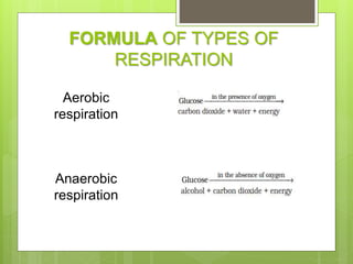 FORMULA OF TYPES OF
RESPIRATION
Aerobic
respiration
Anaerobic
respiration
 