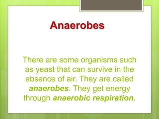 There are some organisms such
as yeast that can survive in the
absence of air. They are called
anaerobes. They get energy
through anaerobic respiration.
Anaerobes
 