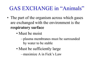 GAS EXCHANGE in “Animals”
• The part of the organism across which gases
are exchanged with the environment is the
respiratory surface
• Must be moist
–plasma membranes must be surrounded
by water to be stable
• Must be sufficiently large
–maximize A in Fick’s Law
 