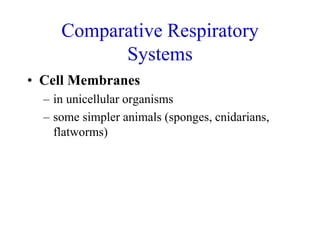 Comparative Respiratory
Systems
• Cell Membranes
– in unicellular organisms
– some simpler animals (sponges, cnidarians,
flatworms)
 