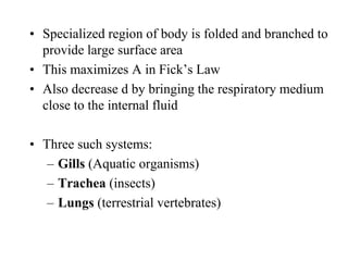 • Specialized region of body is folded and branched to
provide large surface area
• This maximizes A in Fick’s Law
• Also decrease d by bringing the respiratory medium
close to the internal fluid
• Three such systems:
– Gills (Aquatic organisms)
– Trachea (insects)
– Lungs (terrestrial vertebrates)
 