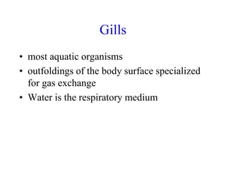 Gills
• most aquatic organisms
• outfoldings of the body surface specialized
for gas exchange
• Water is the respiratory medium
 
