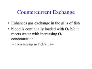 Countercurrent Exchange
• Enhances gas exchange in the gills of fish
• blood is continually loaded with O2 b/c it
meets water with increasing O2
concentration
– Increases p in Fick’s Law
 