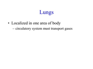 Lungs
• Localized in one area of body
– circulatory system must transport gases
 