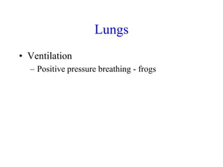 Lungs
• Ventilation
– Positive pressure breathing - frogs
 