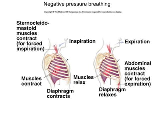 Negative pressure breathing
 