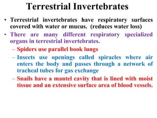 Terrestrial Invertebrates
• Terrestrial invertebrates have respiratory surfaces
covered with water or mucus. (reduces water loss)
• There are many different respiratory specialized
organs in terrestrial invertebrates.
– Spiders use parallel book lungs
– Insects use openings called spiracles where air
enters the body and passes through a network of
tracheal tubes for gas exchange
– Snails have a mantel cavity that is lined with moist
tissue and an extensive surface area of blood vessels.
 