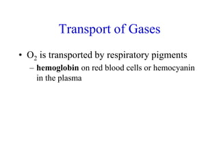 Transport of Gases
• O2 is transported by respiratory pigments
– hemoglobin on red blood cells or hemocyanin
in the plasma
 