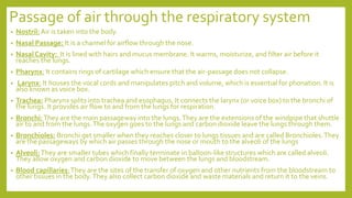 Passage of air through the respiratory system
• Nostril: Air is taken into the body.
• Nasal Passage: It is a channel for airflow through the nose.
• Nasal Cavity: It is lined with hairs and mucus membrane. It warms, moisturize, and filter air before it
reaches the lungs.
• Pharynx: It contains rings of cartilage which ensure that the air-passage does not collapse.
• Larynx: It houses the vocal cords and manipulates pitch and volume, which is essential for phonation. It is
also known as voice box.
• Trachea: Pharynx splits into trachea and esophagus. It connects the larynx (or voice box) to the bronchi of
the lungs. It provides air flow to and from the lungs for respiration.
• Bronchi:They are the main passageway into the lungs.They are the extensions of the windpipe that shuttle
air to and from the lungs.The oxygen goes to the lungs and carbon dioxide leave the lungs through them.
• Bronchioles: Bronchi get smaller when they reaches closer to lungs tissues and are called Bronchioles.They
are the passageways by which air passes through the nose or mouth to the alveoli of the lungs
• Alveoli:They are smaller tubes which finally terminate in balloon-like structures which are called alveoli.
They allow oxygen and carbon dioxide to move between the lungs and bloodstream.
• Blood capillaries:They are the sites of the transfer of oxygen and other nutrients from the bloodstream to
other tissues in the body.They also collect carbon dioxide and waste materials and return it to the veins.
 
