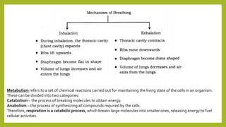 Metabolism refers to a set of chemical reactions carried out for maintaining the living state of the cells in an organism.
These can be divided into two categories:
Catabolism – the process of breaking molecules to obtain energy.
Anabolism – the process of synthesizing all compounds required by the cells.
Therefore, respiration is a catabolic process, which breaks large molecules into smaller ones, releasing energy to fuel
cellular activities.
 