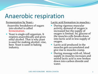 Anaerobic respiration
Fermentation by Yeast:-
Anaerobic breakdown of sugars
into alcohol is called
fermentation.
 Yeast is single cell organism. It
respires anaerobically and gives
ethyl alcohol. That is why yeast
is used for making alcohol, vine,
beer. Yeast is used in baking
industry.
Lactic acid formation in muscles:-
 During vigorous muscular
activity, demand of oxygen is
increased but the supply of
oxygen is limited. So, glucose of
the muscles cells breaks down
into lactic acid in less supply of
oxygen.
 Lactic acid produced in the
muscles gets accumulated and
give rise to muscles cramp.
 During massage with oil, blood
supply in muscles increases and
stored lactic acid is now broken
down into carbon dioxide and
water.
3LIKE AND SUBSCRIBE MEERA CHAVDA
 