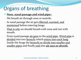 Organs of breathing
 Nose, nasal passage and wind pipe:-
- We breath air through nose or nostrils.
- In nasal passage the air gets filtered, warmed, and
moistened before entering lungs.
- That is why we should breath with nose and not with
mouth.
- From nasal passage air goes to the wind pipe. Wind pipe is
divided into two bronchi which enters into each lung.
Inside the lungs the bronchi re-divide into smaller and
smaller pipes and finally end into air sacs or alveoli.
6LIKE AND SUBSCRIBE MEERA CHAVDA
 