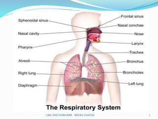 7LIKE AND SUBSCRIBE MEERA CHAVDA
 