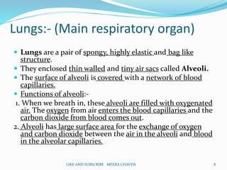 Lungs:- (Main respiratory organ)
 Lungs are a pair of spongy, highly elastic and bag like
structure.
 They enclosed thin walled and tiny air sacs called Alveoli.
 The surface of alveoli is covered with a network of blood
capillaries.
 Functions of alveoli:-
1. When we breath in, these alveoli are filled with oxygenated
air. The oxygen from air enters the blood capillaries and the
carbon dioxide from blood comes out.
2. Alveoli has large surface area for the exchange of oxygen
and carbon dioxide between the air in the alveoli and blood
in the alveolar capillaries.
8LIKE AND SUBSCRIBE MEERA CHAVDA
 