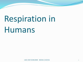 Respiration in
Humans
1LIKE AND SUBSCRIBE MEERA CHAVDA
 