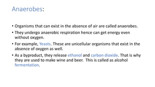 Anaerobes:
• Organisms that can exist in the absence of air are called anaerobes.
• They undergo anaerobic respiration hence can get energy even
without oxygen.
• For example, Yeasts. These are unicellular organisms that exist in the
absence of oxygen as well.
• As a byproduct, they release ethanol and carbon dioxide. That is why
they are used to make wine and beer. This is called as alcohol
fermentation.
 