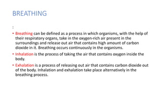 BREATHING
:
• Breathing can be defined as a process in which organisms, with the help of
their respiratory organs, take in the oxygen-rich air present in the
surroundings and release out air that contains high amount of carbon
dioxide in it. Breathing occurs continuously in the organisms.
• Inhalation is the process of taking the air that contains oxygen inside the
body.
• Exhalation is a process of releasing out air that contains carbon dioxide out
of the body. Inhalation and exhalation take place alternatively in the
breathing process.
 