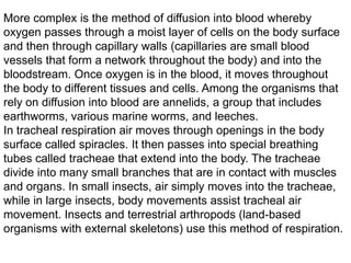 More complex is the method of diffusion into blood whereby
oxygen passes through a moist layer of cells on the body surface
and then through capillary walls (capillaries are small blood
vessels that form a network throughout the body) and into the
bloodstream. Once oxygen is in the blood, it moves throughout
the body to different tissues and cells. Among the organisms that
rely on diffusion into blood are annelids, a group that includes
earthworms, various marine worms, and leeches.
In tracheal respiration air moves through openings in the body
surface called spiracles. It then passes into special breathing
tubes called tracheae that extend into the body. The tracheae
divide into many small branches that are in contact with muscles
and organs. In small insects, air simply moves into the tracheae,
while in large insects, body movements assist tracheal air
movement. Insects and terrestrial arthropods (land-based
organisms with external skeletons) use this method of respiration.

 