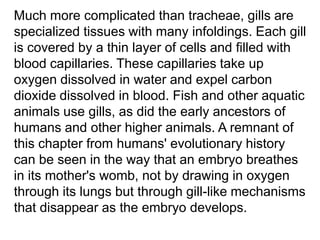 Much more complicated than tracheae, gills are
specialized tissues with many infoldings. Each gill
is covered by a thin layer of cells and filled with
blood capillaries. These capillaries take up
oxygen dissolved in water and expel carbon
dioxide dissolved in blood. Fish and other aquatic
animals use gills, as did the early ancestors of
humans and other higher animals. A remnant of
this chapter from humans' evolutionary history
can be seen in the way that an embryo breathes
in its mother's womb, not by drawing in oxygen
through its lungs but through gill-like mechanisms
that disappear as the embryo develops.

 