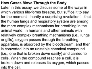 How Gases Move Through the Body
Later in this essay, we discuss some of the ways in
which various life-forms breathe, but suffice it to say
for the moment—hardly a surprising revelation!—that
the human lungs and respiratory system are among
the more complex mechanisms for breathing in the
animal world. In humans and other animals with
relatively complex breathing mechanisms (i.e., lungs
or gills), oxygen passes through the breathing
apparatus, is absorbed by the bloodstream, and then
is converted into an unstable chemical compound
(i.e., one that is broken down easily) and carried to
cells. When the compound reaches a cell, it is
broken down and releases its oxygen, which passes
into the cell.

 