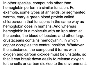 In other species, compounds other than
hemoglobin perform a similar function. For
example, some types of annelids, or segmented
worms, carry a green blood protein called
chlorocruorin that functions in the same way as
hemoglobin does in humans. And whereas
hemoglobin is a molecule with an iron atom at
the center, the blood of lobsters and other large
crustaceans contains hemocyanin, in which
copper occupies the central position. Whatever
the substance, the compound it forms with
oxygen and carbon dioxide must be unstable, so
that it can break down easily to release oxygen
to the cells or carbon dioxide to the environment.

 