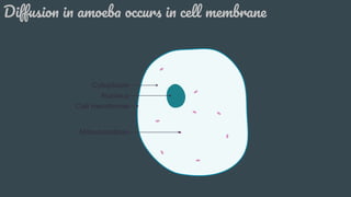 Respiration in organism class 7 | PDF