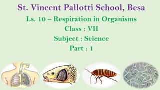 St. Vincent Pallotti School, Besa
Ls. 10 – Respiration in Organisms
Class : VII
Subject : Science
Part : 1
 