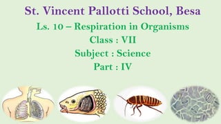 St. Vincent Pallotti School, Besa
Ls. 10 – Respiration in Organisms
Class : VII
Subject : Science
Part : IV
 
