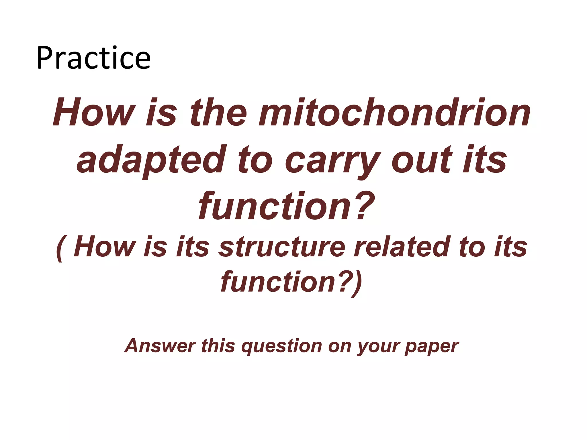How is the mitochondrion adapted to carry out its function?  ( How is its structure related to its function?) Answer this question on your paper Practice 
