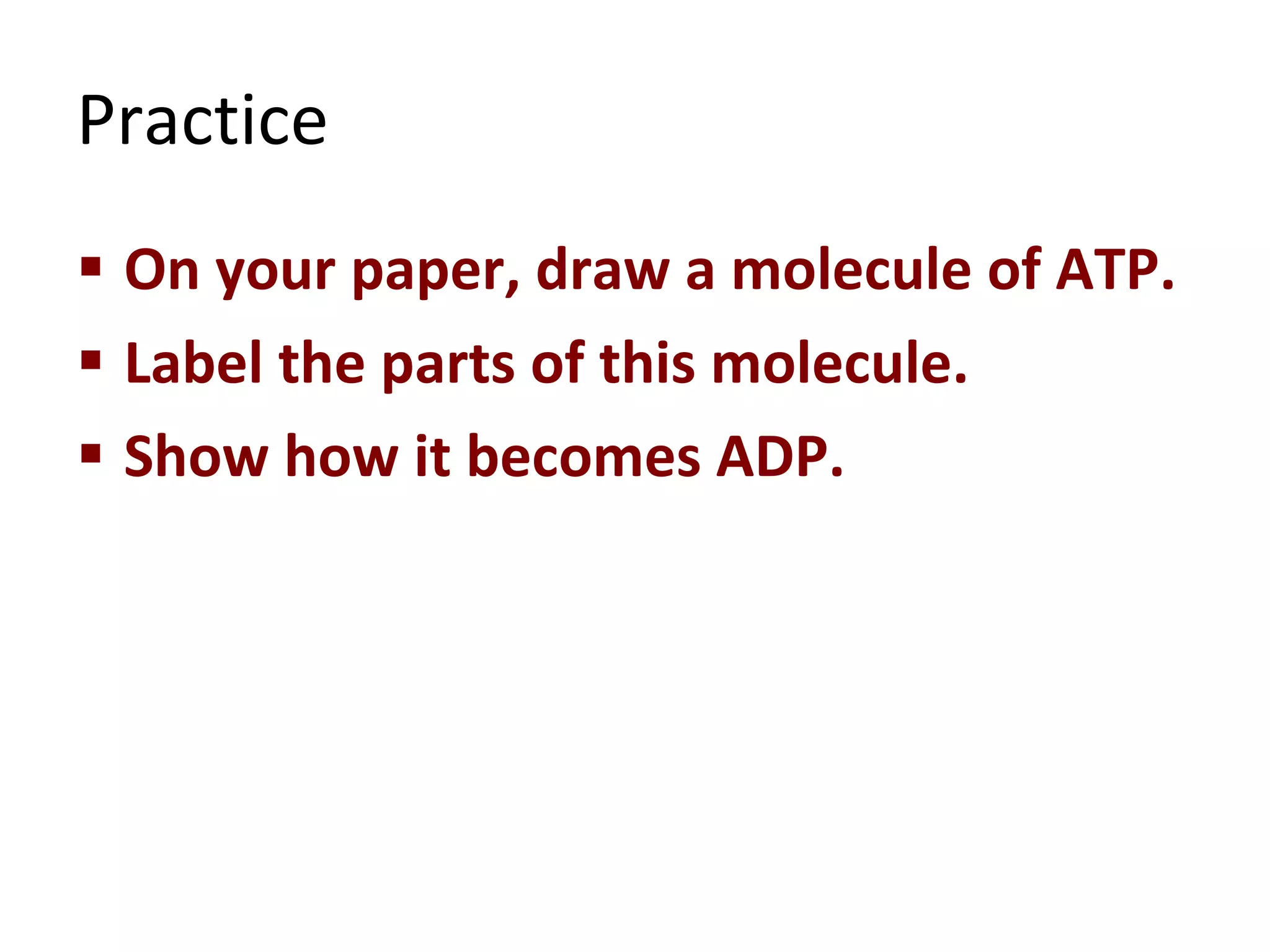 Practice On your paper, draw a molecule of ATP.  Label the parts of this molecule. Show how it becomes ADP. 