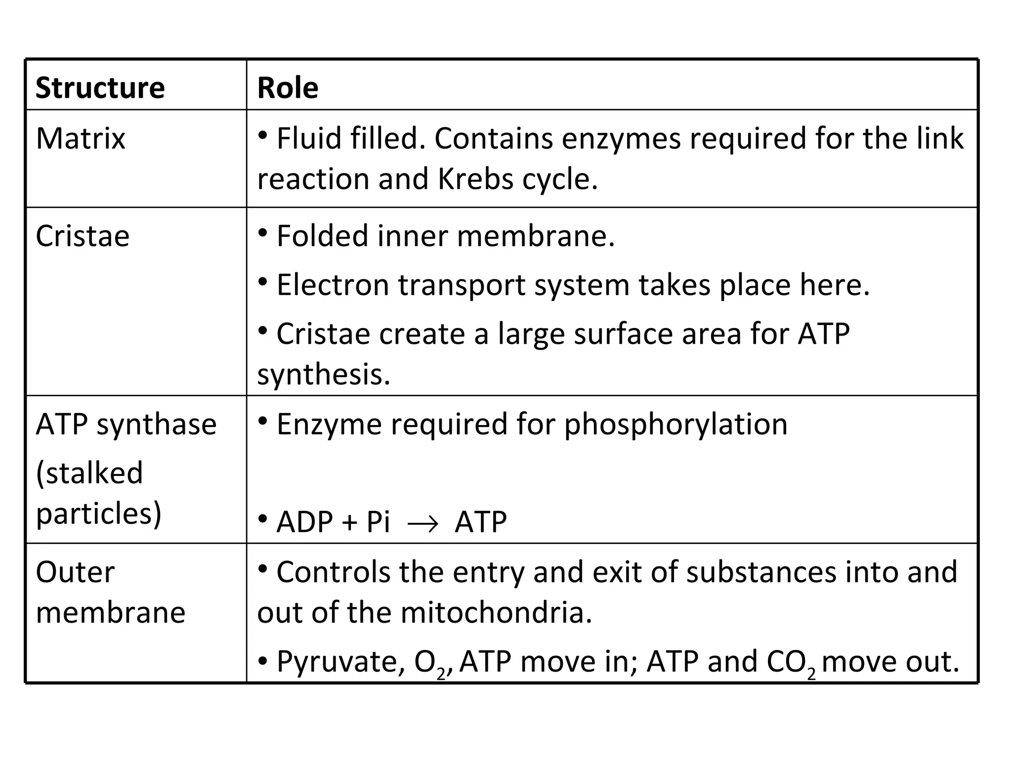 Structure Role Matrix Fluid filled. Contains enzymes required for the link reaction and Krebs cycle. Cristae Folded inner membrane. Electron transport system takes place here. Cristae create a large surface area for ATP synthesis. ATP synthase (stalked particles) Enzyme required for phosphorylation ADP + Pi     ATP Outer membrane Controls the entry and exit of substances into and out of the mitochondria. Pyruvate, O 2 ,   ATP move in; ATP and CO 2  move out. 