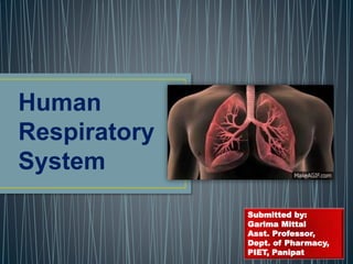 Human
Respiratory
System
Submitted by:
Garima Mittal
Asst. Professor,
Dept. of Pharmacy,
PIET, Panipat
 