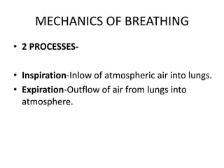 MECHANICS OF BREATHING
• 2 PROCESSES-
• Inspiration-Inlow of atmospheric air into lungs.
• Expiration-Outflow of air from lungs into
atmosphere.
 