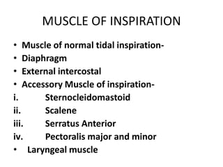 MUSCLE OF INSPIRATION
• Muscle of normal tidal inspiration-
• Diaphragm
• External intercostal
• Accessory Muscle of inspiration-
i. Sternocleidomastoid
ii. Scalene
iii. Serratus Anterior
iv. Pectoralis major and minor
• Laryngeal muscle
 