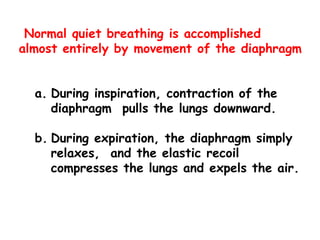 Normal quiet breathing is accomplished
almost entirely by movement of the diaphragm
a. During inspiration, contraction of the
diaphragm pulls the lungs downward.
b. During expiration, the diaphragm simply
relaxes, and the elastic recoil
compresses the lungs and expels the air.
 