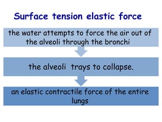an elastic contractile force of the entire
lungs
the alveoli trays to collapse.
the water attempts to force the air out of
the alveoli through the bronchi
Surface tension elastic force
 
