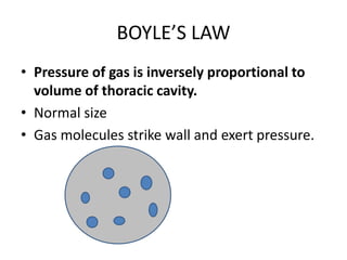 BOYLE’S LAW
• Pressure of gas is inversely proportional to
volume of thoracic cavity.
• Normal size
• Gas molecules strike wall and exert pressure.
 