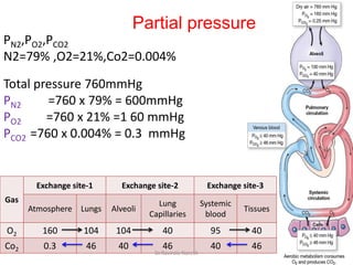 Po2 Pco2 Respiration RESPIRATION,TRANSPORT OF OXYGEN AND CARBON DIOXIDE | PDF