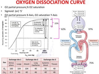 RESPIRATION,TRANSPORT OF OXYGEN AND CARBON DIOXIDE | PDF