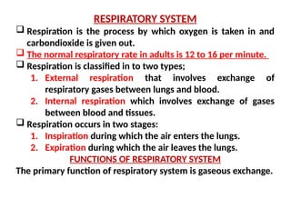 Respiration Path Notes respiration notes.pdf